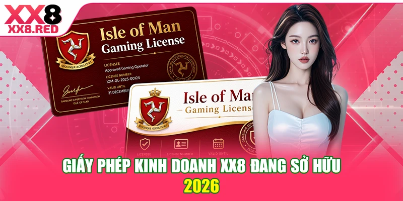 Giấy phép kinh doanh XX8 đang sở hữu 2026